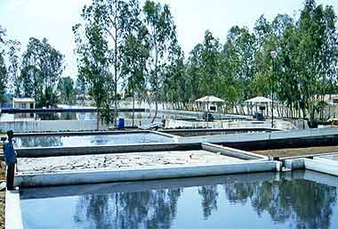 Effluent Treatment